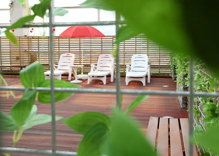Hotel Skypark Kingstown Dongdaemun
